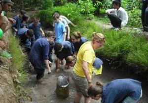 Slapping ditches to catch fish